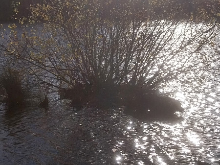 "Joyeux SOLSTICE d'hiver"