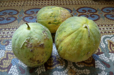 Melon Vieille France  (kg)